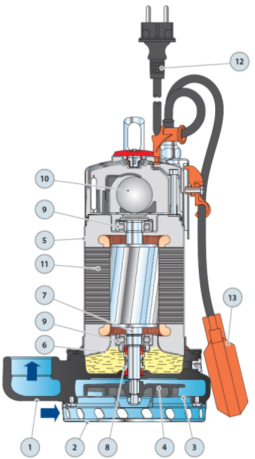 Dm 10 - N