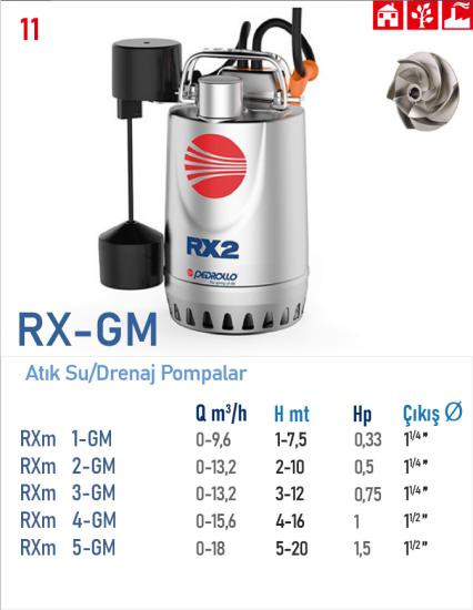RXm 1 - GM